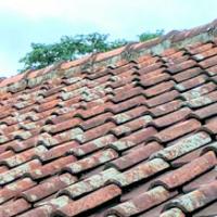 5 Signs Your Roof Needs to Be Replaced 
