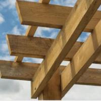 Is a Pergola Right for You?