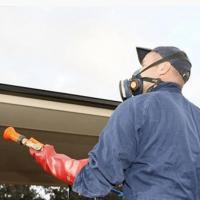 Why You Need Professionals for Pest Control