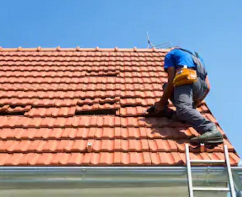 Help! My Roof is Leaking! A How-To Guide to Roof Restoration