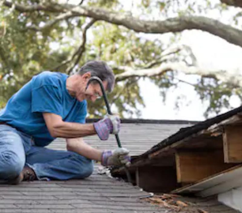 All You Need to Know About Taking Care of Your Roof