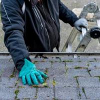5 Essential Roof Maintenance Tips You Need to Know