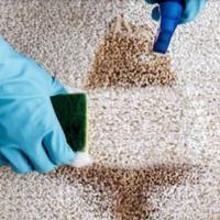 Getting Rid of Carpet Stains