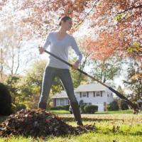 Winterize Your Landscape