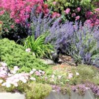 Xeriscaping - Water Wise Landscaping