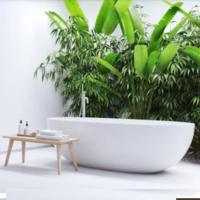 Zen Decorating Theme Bathroom