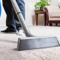 How to Maintain Your Carpets and Get Them Cleaned on a Budget