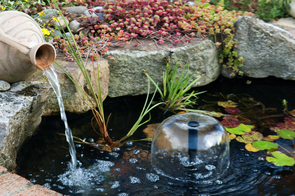 Garden Water Features And Fish Basic Tips You Should Know About Garden Water Features And Fish Basic Tips You Should Know About