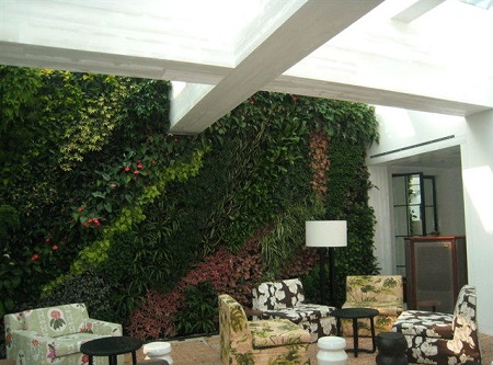 plant walls