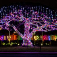 What Town Has The Best Christmas Lights In Illinois?