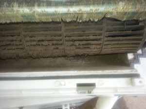 aircon mold